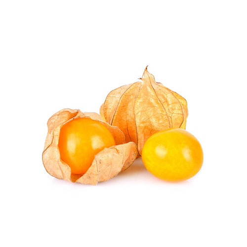 Ground Cherry