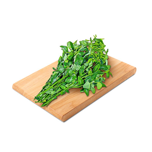 Sweet Leaf Bush Leaf