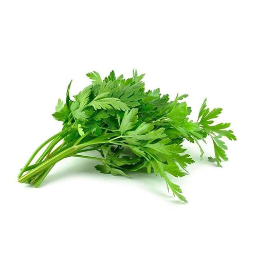 Celery Leaf