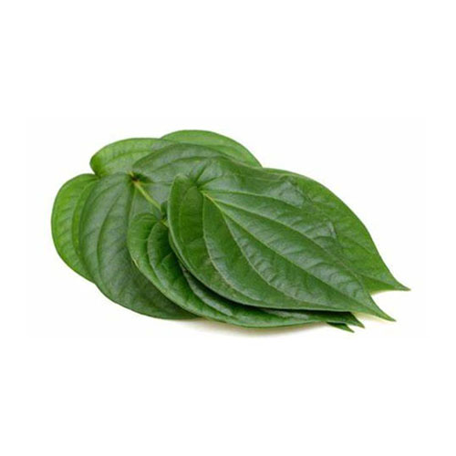 Betel Leaf