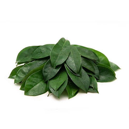 Soursop Leaf