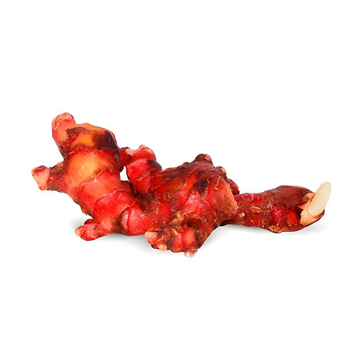 Red Ginger