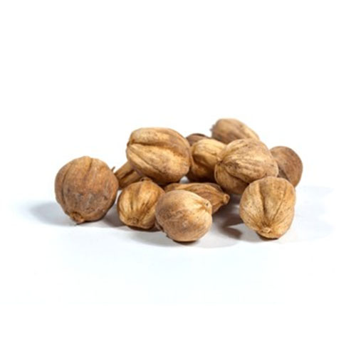 Cardamom