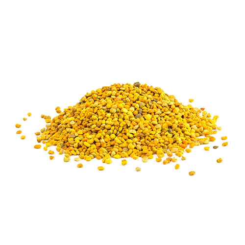 Cangkok Flower Pollen