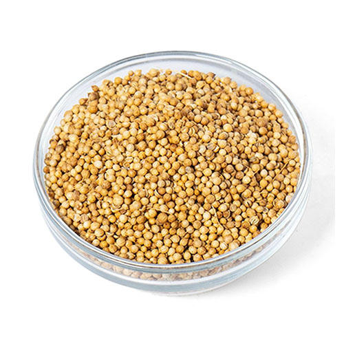 Coriander Seed