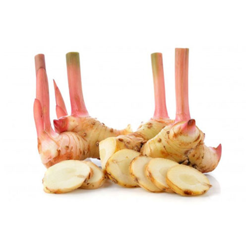 Galangal