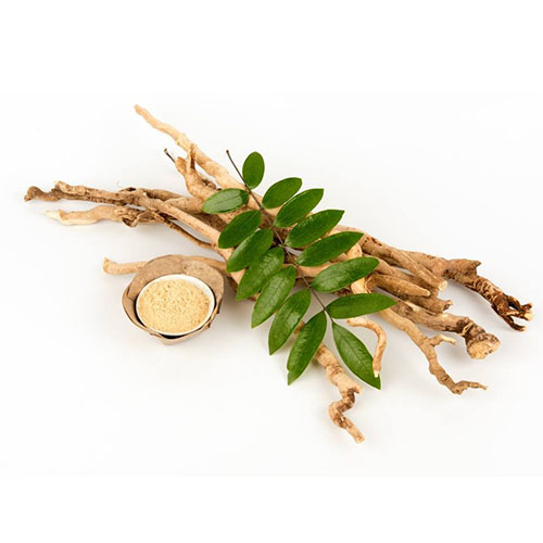 Tongkat Ali Root