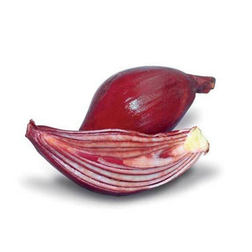 Dayak Onion