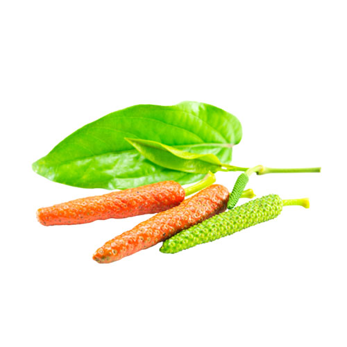 Javanese Long Pepper