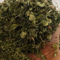 dried moringa leaves