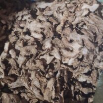  dried small white ginger