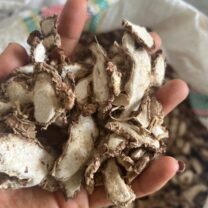 Dried aromatic ginger
