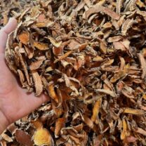 dried turmeric